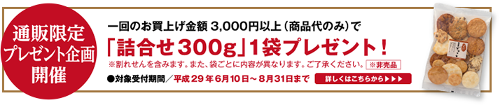 【通販限定企画】「詰合せ300g」プレゼントキャンペーンスタート!